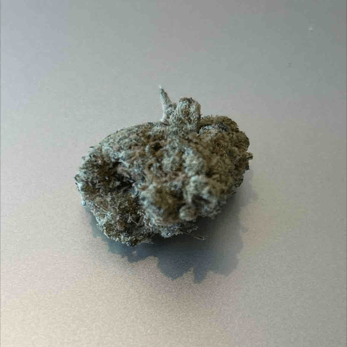 Super Lemon Haze - NL